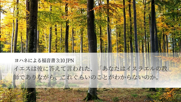 ヨハネによる福音書 3:10 JPN Bible Verse Image