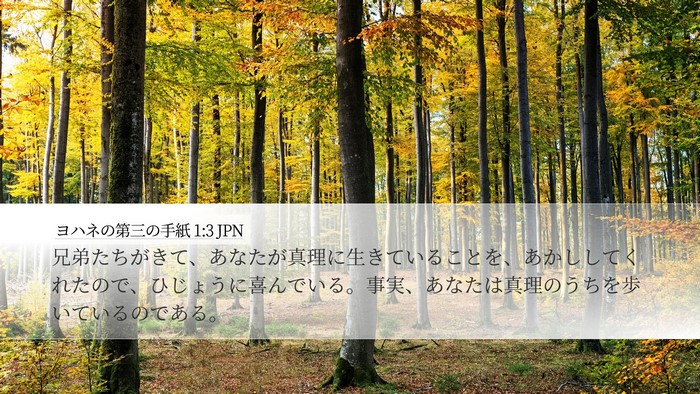ヨハネの第三の手紙 1:3 JPN Bible Verse Image