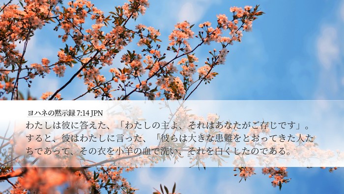 ヨハネの黙示録 7:14 JPN Bible Verse Image