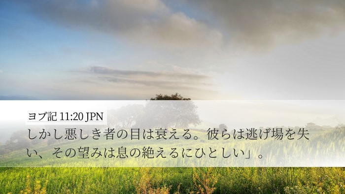 ヨブ記 11:20 JPN Bible Verse Image