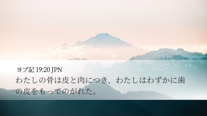 ヨブ記 19:20 JPN Bible Verse Image