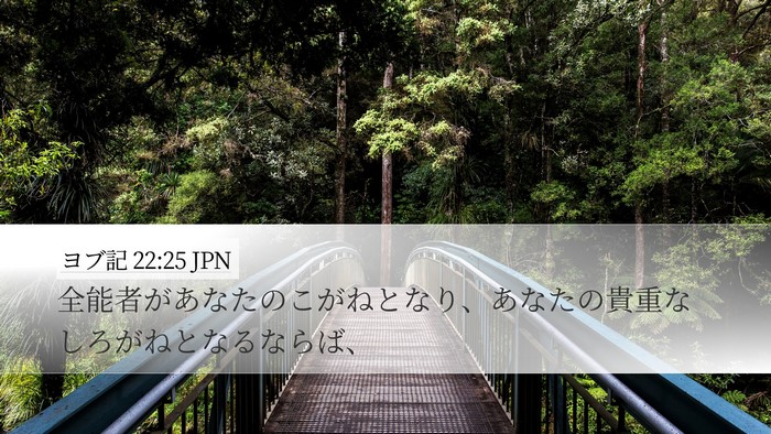 ヨブ記 22:25 JPN Bible Verse Image