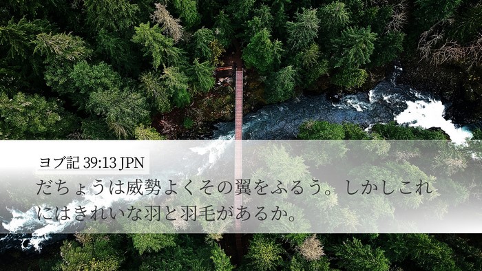ヨブ記 39:13 JPN Bible Verse Image