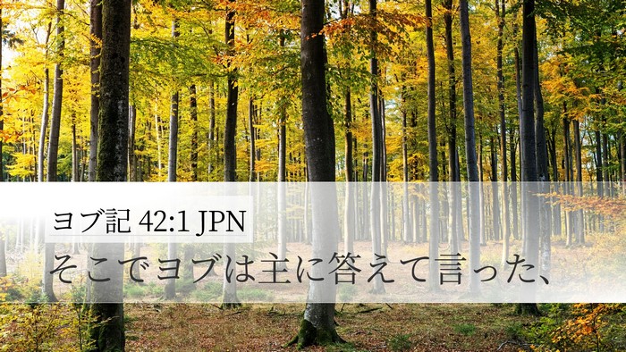 ヨブ記 42:1 JPN Desktop Wallpaper - そこでヨブは主に答えて言った、 - Desktop Bible Verse Wallpaper