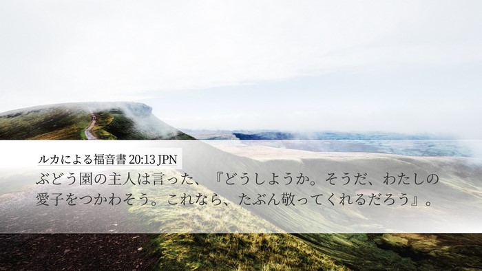 ルカによる福音書 20:13 JPN Bible Verse Image