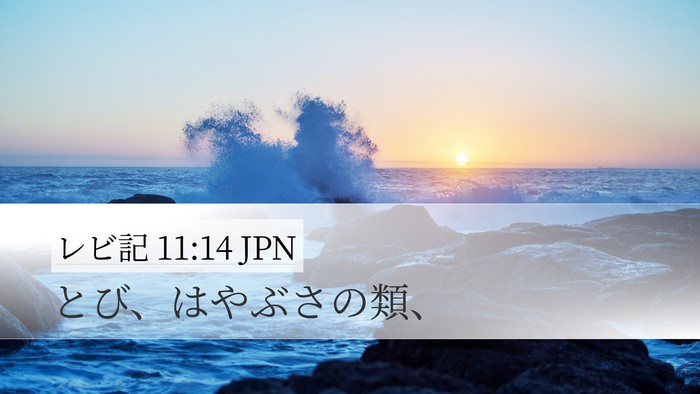 レビ記 11:14 JPN Desktop Wallpaper - とび、はやぶさの類、 - Desktop Bible Verse Wallpaper