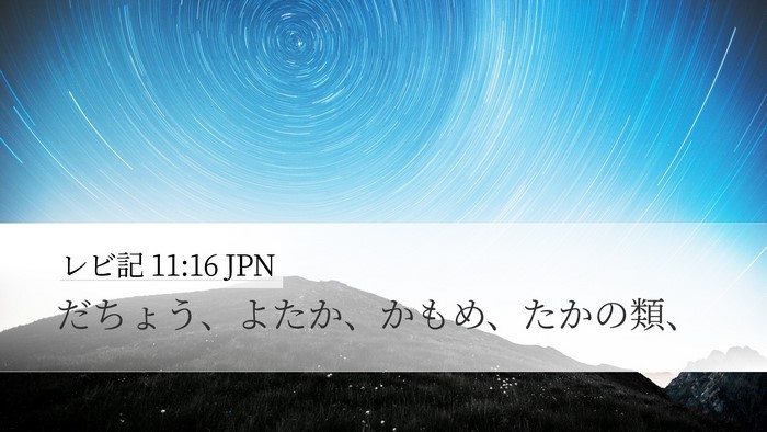 レビ記 11:16 JPN Desktop Wallpaper - だちょう、よたか、かもめ、たかの - Desktop Bible Verse Wallpaper