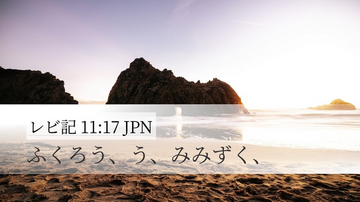 レビ記 11:17 JPN Desktop Wallpaper - ふくろう、う、みみずく、 - Desktop Bible Verse Wallpaper