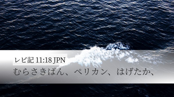 レビ記 11:18 JPN Desktop Wallpaper - むらさきばん、ペリカン、はげたか - Desktop Bible Verse Wallpaper
