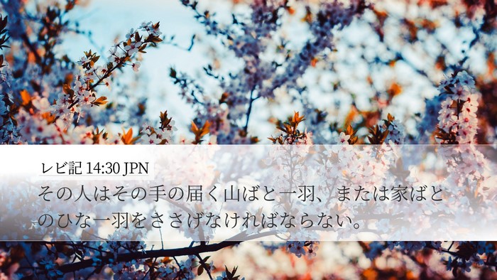 レビ記 14:30 JPN Bible Verse Image
