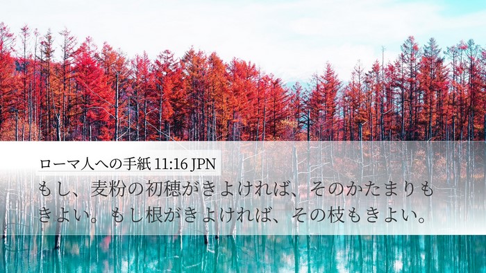 ローマ人への手紙 11:16 JPN Bible Verse Image