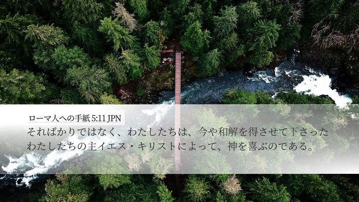 ローマ人への手紙 5:11 JPN Bible Verse Image