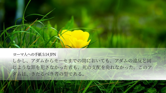 ローマ人への手紙 5:14 JPN Bible Verse Image