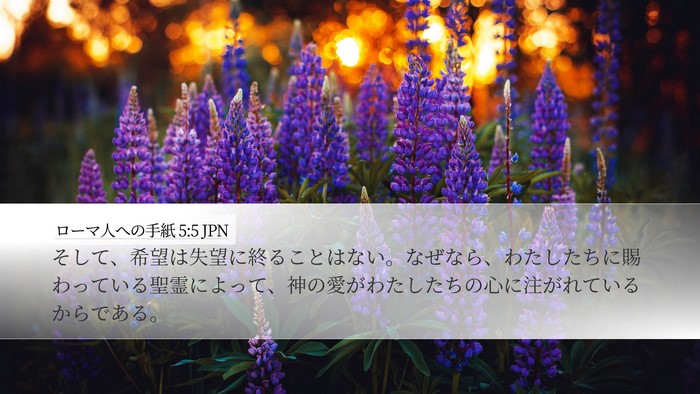 ローマ人への手紙 5:5 JPN Bible Verse Image