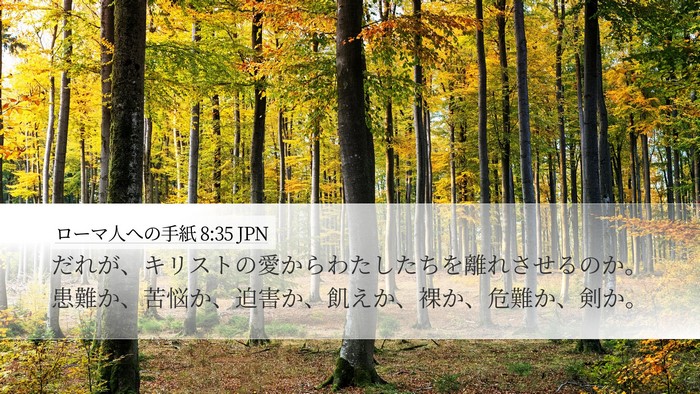 ローマ人への手紙 8:35 JPN Bible Verse Image