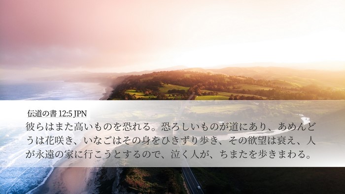 伝道の書 12:5 JPN Bible Verse Image