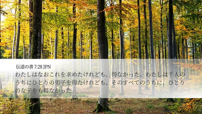 伝道の書 7:28 JPN Bible Verse Image
