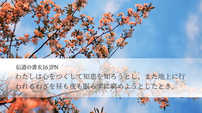 伝道の書 8:16 JPN Desktop Wallpaper - わたしは心をつくして知恵を知ろう - Desktop Bible Verse Wallpaper