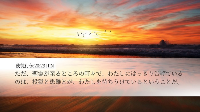 使徒行伝 20:23 JPN Bible Verse Image