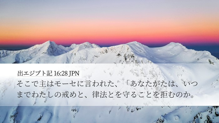 出エジプト記 16:28 JPN Bible Verse Image