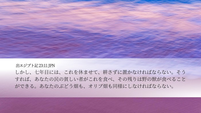 出エジプト記 23:11 JPN Desktop Wallpaper - しかし、七年目には、これを休ませ - Desktop Bible Verse Wallpaper