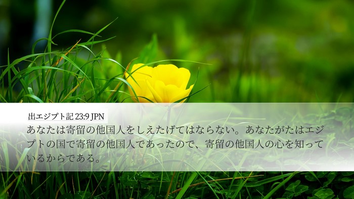 出エジプト記 23:9 JPN Bible Verse Image