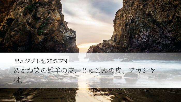出エジプト記 25:5 JPN Bible Verse Image