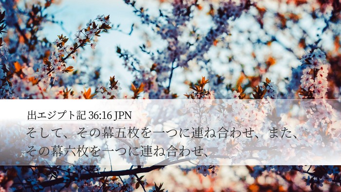 出エジプト記 36:16 JPN Desktop Wallpaper - そして、その幕五枚を一つに連ね合 - Desktop Bible Verse Wallpaper