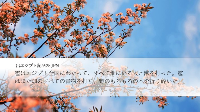 出エジプト記 9:25 JPN Bible Verse Image