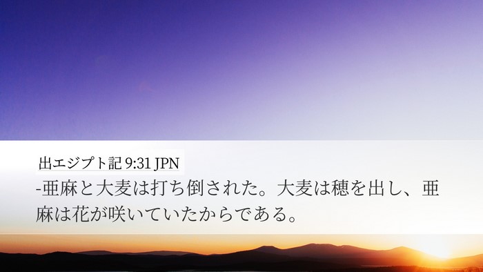 出エジプト記 9:31 JPN Desktop Wallpaper - -亜麻と大麦は打ち倒された。大麦は - Desktop Bible Verse Wallpaper