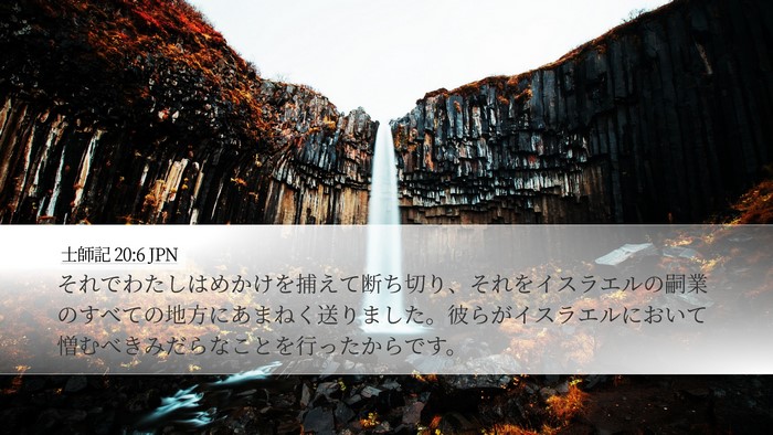 士師記 20:6 JPN Bible Verse Image