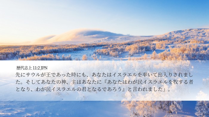 歴代志上 11:2 JPN Bible Verse Image