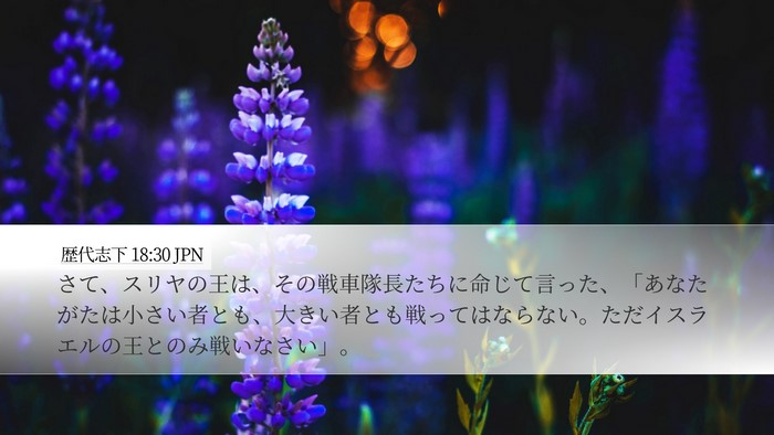 歴代志下 18:30 JPN Bible Verse Image