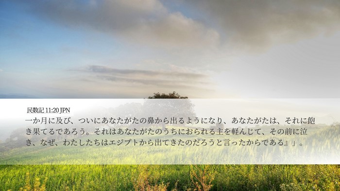 民数記 11:20 JPN Desktop Wallpaper - 一か月に及び、ついにあなたがたの - Desktop Bible Verse Wallpaper