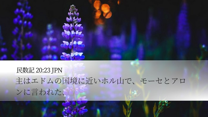 民数記 20:23 JPN Desktop Wallpaper - 主はエドムの国境に近いホル山で、 - Desktop Bible Verse Wallpaper