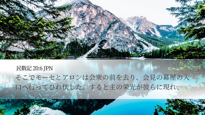 民数記 20:6 JPN Bible Verse Image