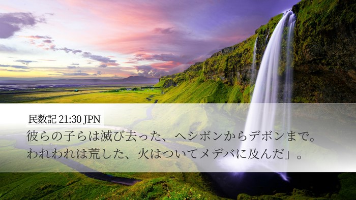 民数記 21:30 JPN Bible Verse Image