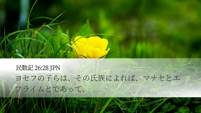 民数記 26:28 JPN Bible Verse Image
