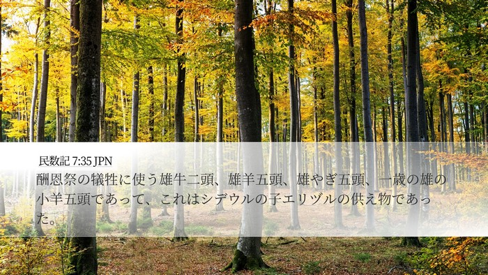 民数記 7:35 JPN Desktop Wallpaper - 酬恩祭の犠牲に使う雄牛二頭、雄羊 - Desktop Bible Verse Wallpaper
