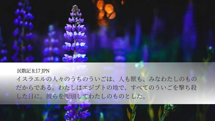 民数記 8:17 JPN Bible Verse Image
