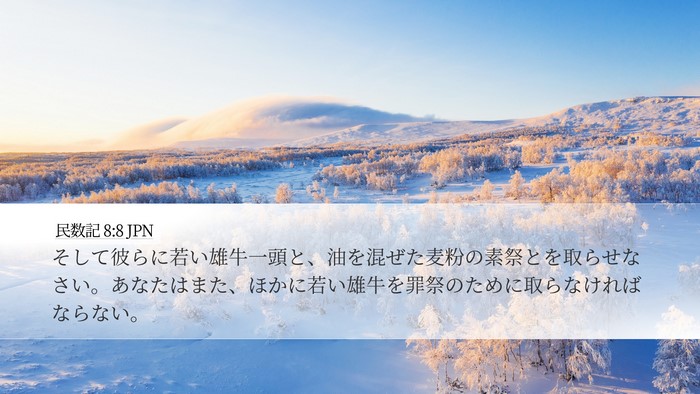 民数記 8:8 JPN Desktop Wallpaper - そして彼らに若い雄牛一頭と、油を - Desktop Bible Verse Wallpaper