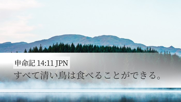 申命記 14:11 JPN Desktop Wallpaper - すべて清い鳥は食べることができる - Desktop Bible Verse Wallpaper