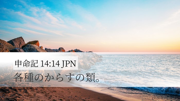 申命記 14:14 JPN Desktop Wallpaper - 各種のからすの類。 - Desktop Bible Verse Wallpaper