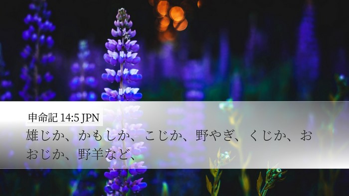 申命記 14:5 JPN Desktop Wallpaper - 雄じか、かもしか、こじか、野やぎ - Desktop Bible Verse Wallpaper