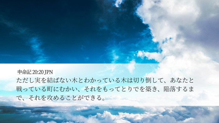 申命記 20:20 JPN Desktop Wallpaper - ただし実を結ばない木とわかってい - Desktop Bible Verse Wallpaper