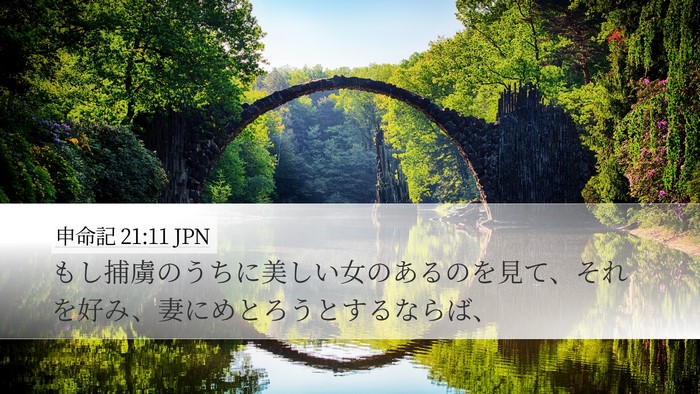 申命記 21:11 JPN Desktop Wallpaper - もし捕虜のうちに美しい女のあるの - Desktop Bible Verse Wallpaper