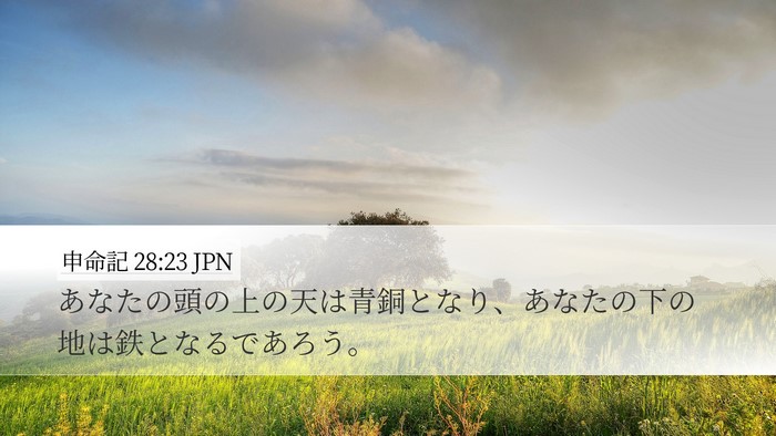 申命記 28:23 JPN Bible Verse Image
