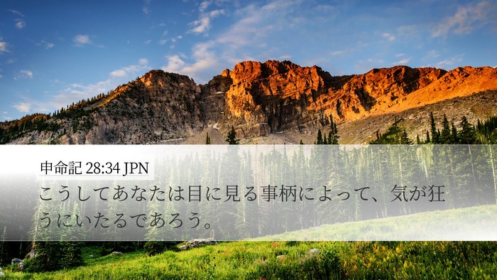 申命記 28:34 JPN Bible Verse Image
