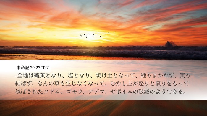 申命記 29:23 JPN Bible Verse Image