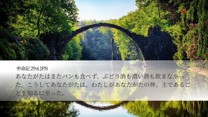 申命記 29:6 JPN Desktop Wallpaper - あなたがたはまたパンも食べず、ぶ - Desktop Bible Verse Wallpaper